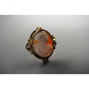 Broch Gold  And Cameo 19th Century .