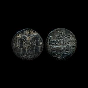 Nemausus “crocodile” As — Certificate Of Authenticity