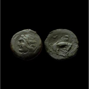 æ 2 Shekels λibyωn — Libyan Revolt — Certificate Of Authenticity