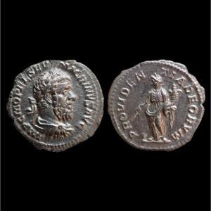 Macrin Ric 80 — Certificate Of Authenticity