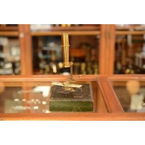 Cary-gould Type Naturalist Microscope