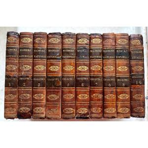 Natural History Of Insects Comp. After Réaumur, Geoffroy &c; By Mr. De Tigny Paris 1828