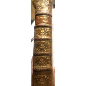 "the Story Of Pierre Terrail," Said The Chevalier Bayard, "without Fear And Without Reproach," Paris 1768