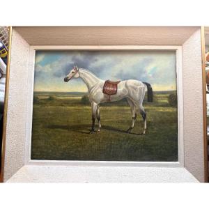 "racehorse", Pearl Gray Large Portrait, Signed A. Kinson, From The 1950s, In Its Frame 