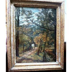 Autumn Path In The Forest From The 1930s