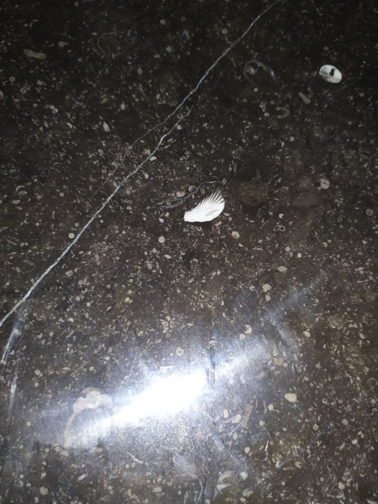 Buffet Enfilade Empire XX Siècle-photo-2