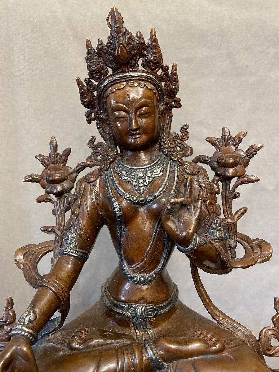 Tara verde Nepal 19secolo-photo-2