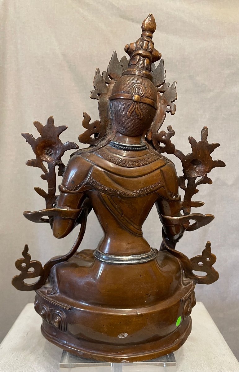 Tara verde Nepal 19secolo-photo-4