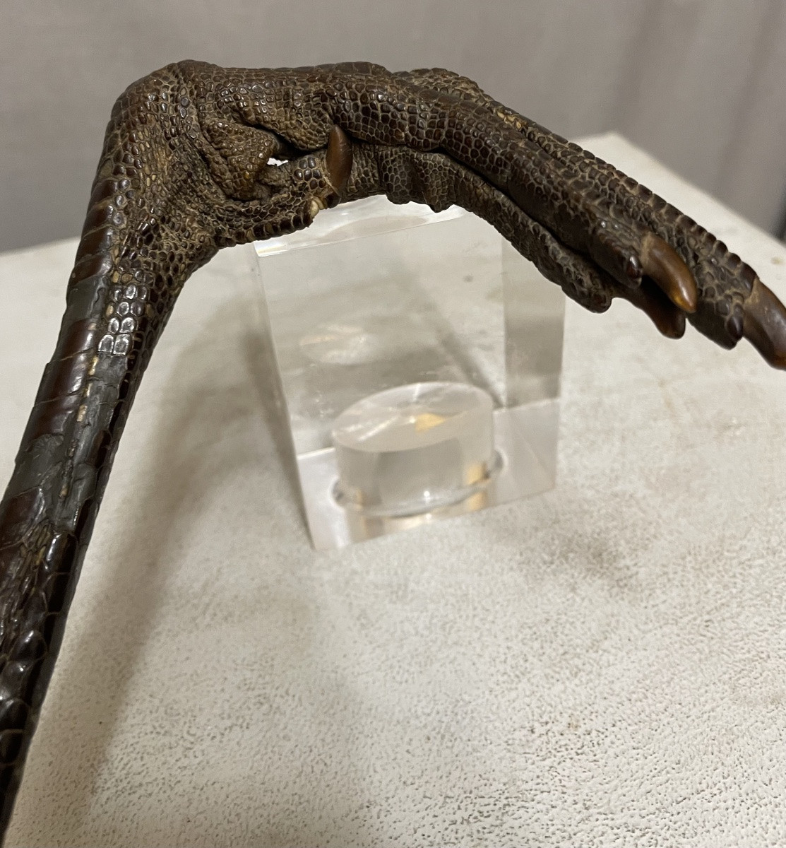 Bastone da passeggio con manico di zampa di gru XXsecolo-photo-2