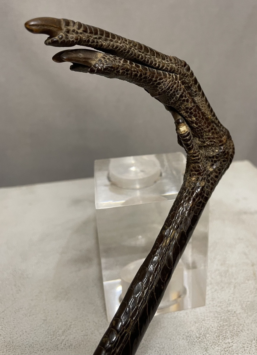 Bastone da passeggio con manico di zampa di gru XXsecolo-photo-3