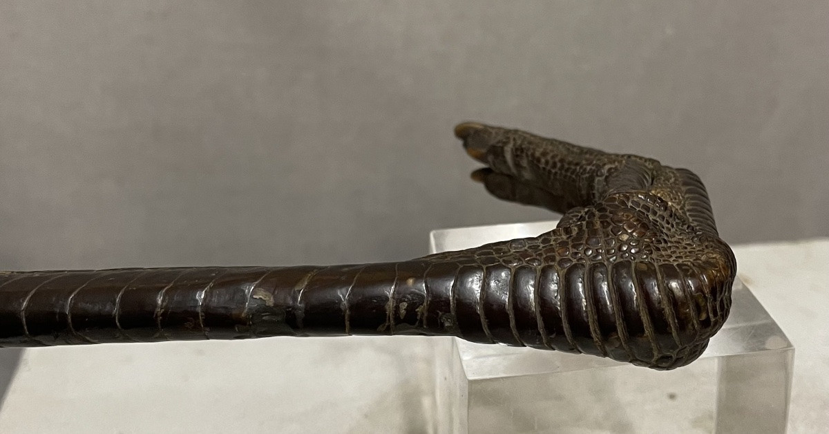 Bastone da passeggio con manico di zampa di gru XXsecolo-photo-3