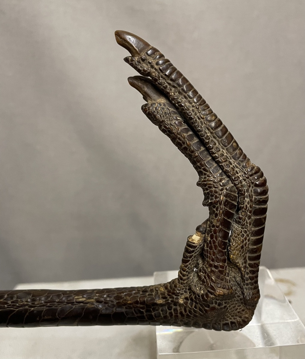 Bastone da passeggio con manico di zampa di gru XXsecolo-photo-4