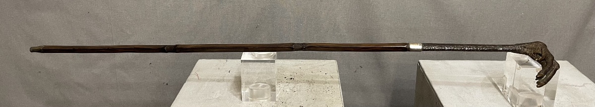 Bastone da passeggio con manico di zampa di gru XXsecolo