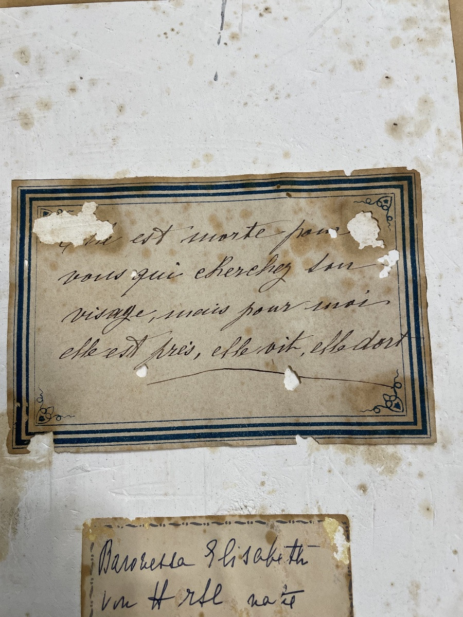 Ritratto in gesso di Elisabeth Von Trotta XXsecolo-photo-3