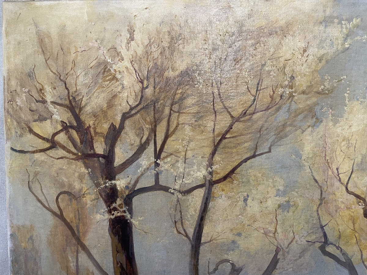 olio su tela di Onorato Carlandi campagna Romana XXsecolo-photo-3