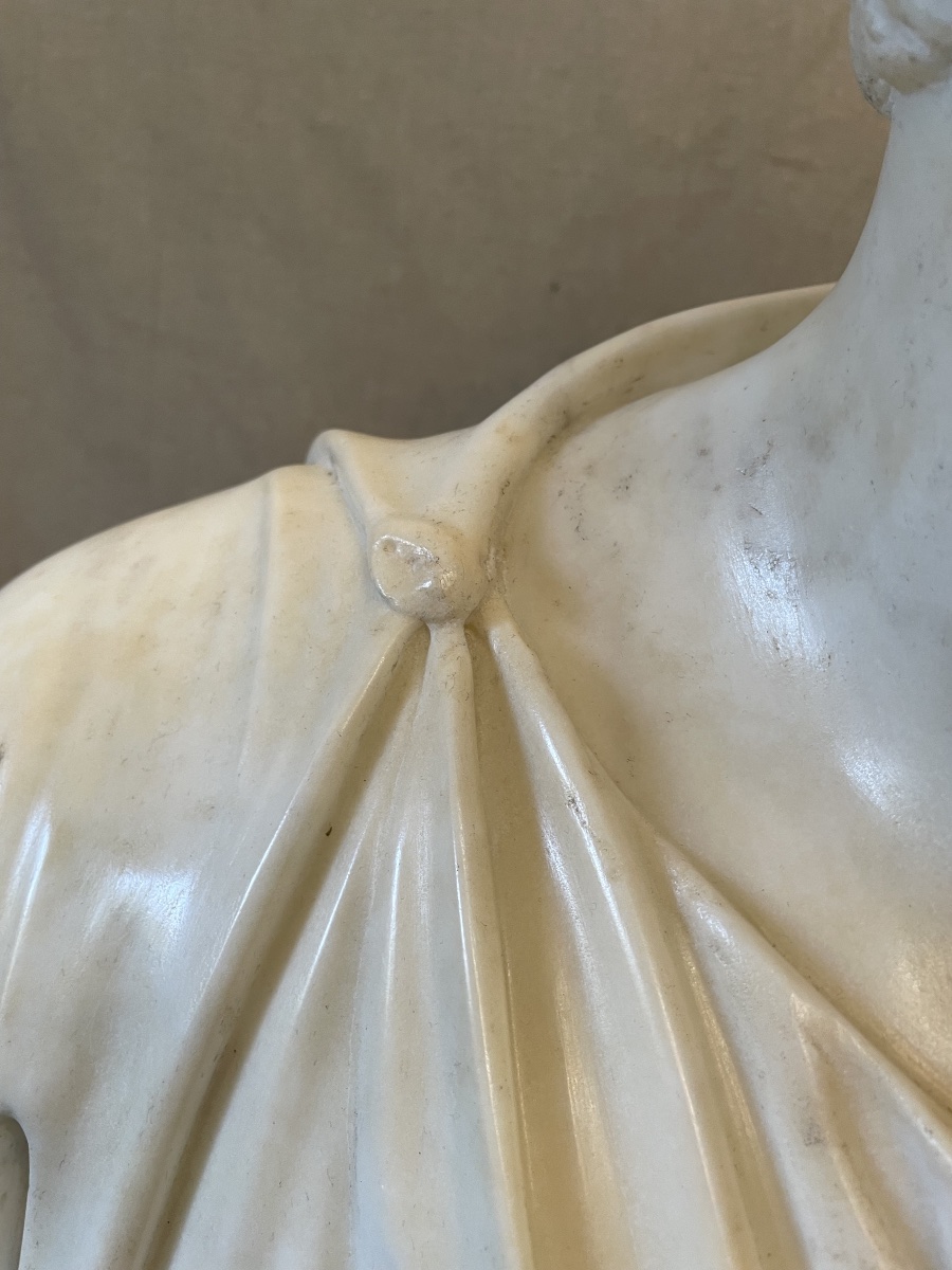 Busto in marmo di Bruto XVII -photo-8