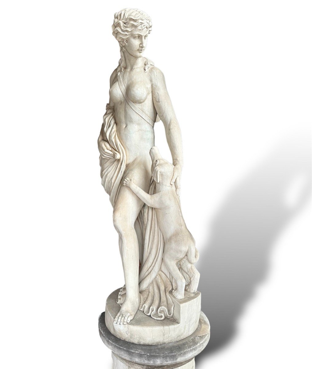 XIX Secolo, Scultura in marmo bianco statuario Diana Cacciatrice-photo-4