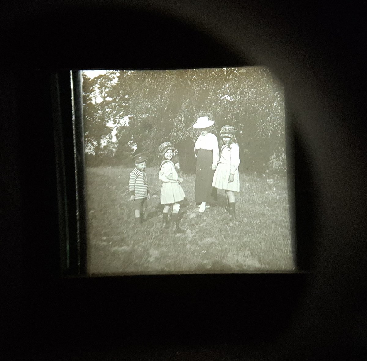 Visore stereoscopico, stereoscopio, epoca primo 900-photo-4