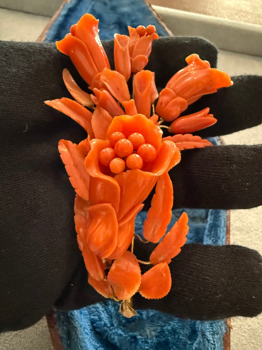 Spilla e orecchini floreali in corallo rosso, con montatura in oro – Trapani, seconda metà del -photo-3