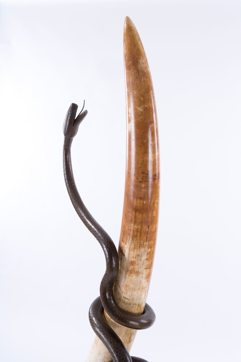 Scultura con serpente in ferro battuto attorcigliato a una zanna d’elefante africano, su base l-photo-2