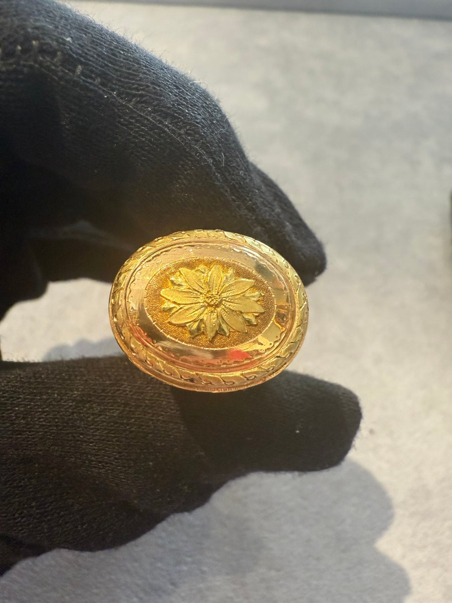 Étui in oro con astuccio originale in pelle di lucertola  Francia, Parigi, circa 1770-photo-1