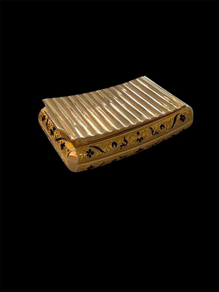 Tabacchiera curva da tasca in oro e smalti, Parigi, 1838–1850 ca., maestro orafo “AM”-photo-7