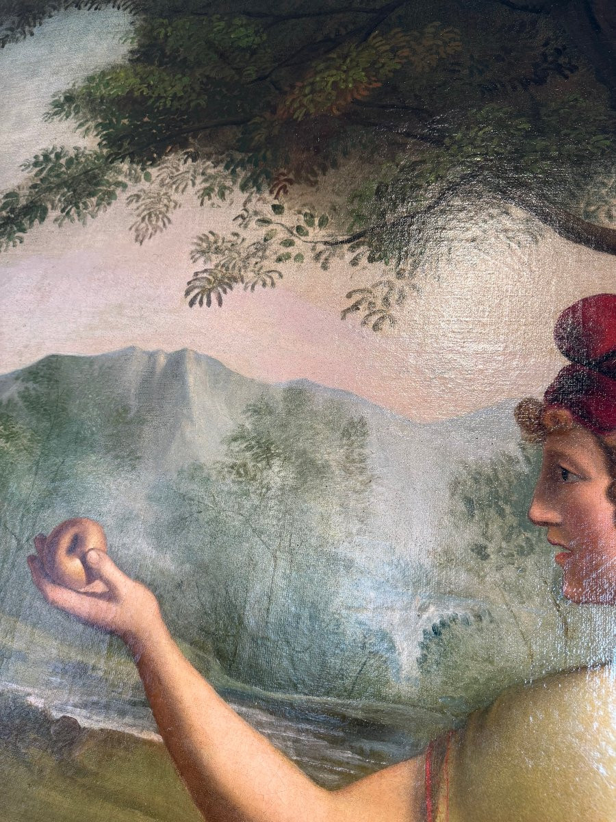 Il Giudizio di Paride-photo-4