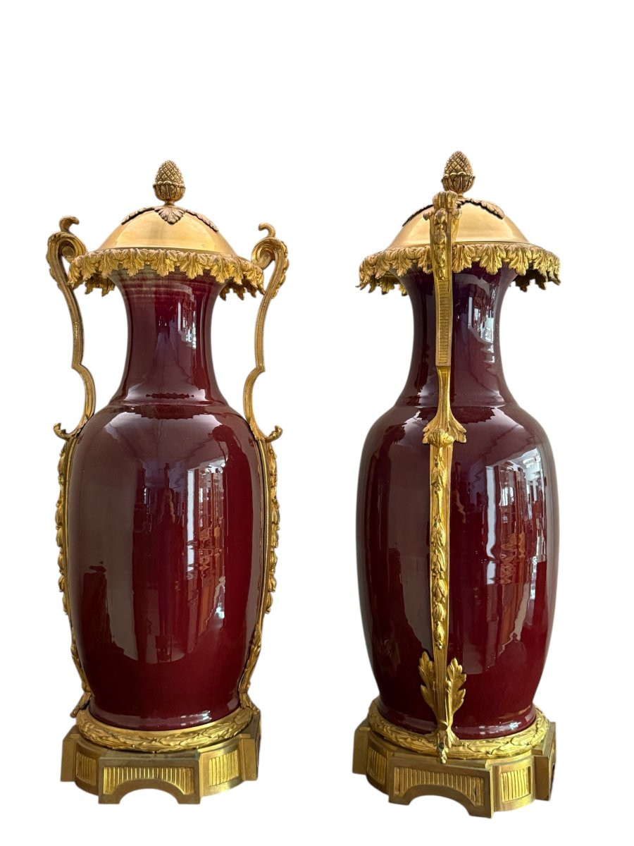 Coppia di vasi francesi in porcellana “sangue di bue” con montature in bronzo dorato, XIX secol-photo-2