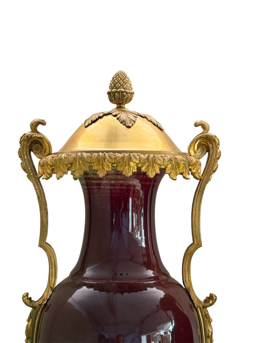 Coppia di vasi francesi in porcellana “sangue di bue” con montature in bronzo dorato, XIX secol-photo-3