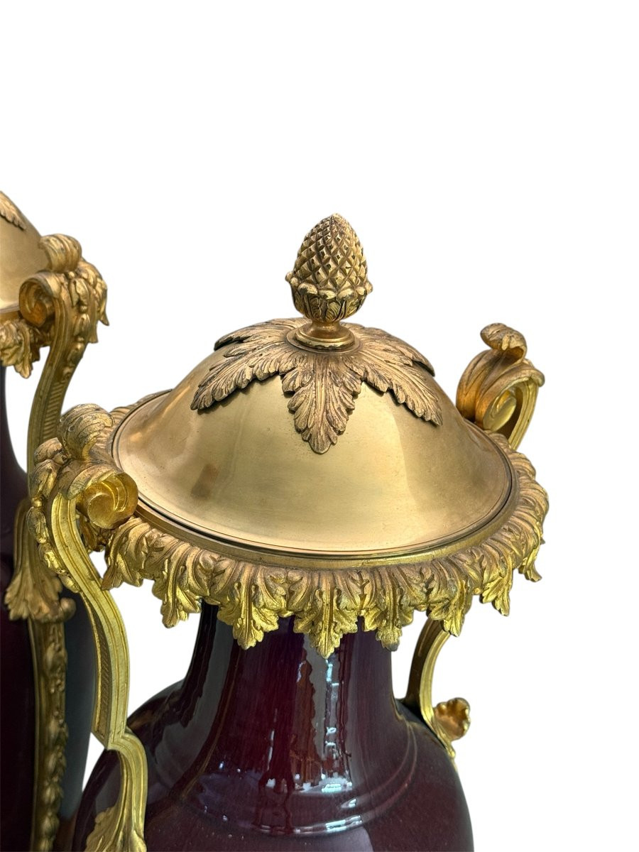 Coppia di vasi francesi in porcellana “sangue di bue” con montature in bronzo dorato, XIX secol-photo-4