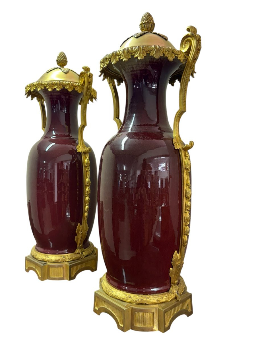 Coppia di vasi francesi in porcellana “sangue di bue” con montature in bronzo dorato, XIX secol-photo-7
