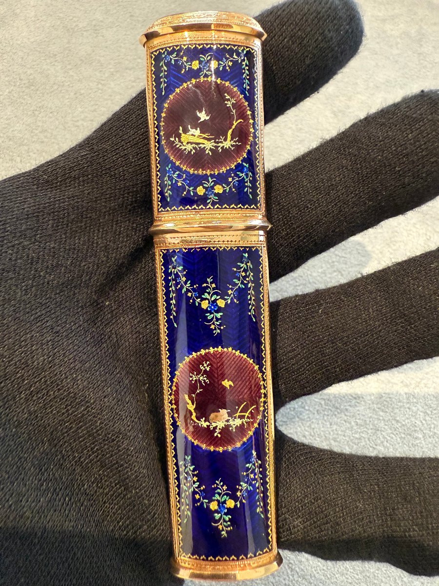 Étui francese in oro e smalto, periodo Luigi XV (XVIII secolo)-photo-3