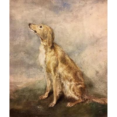 Hippolyte Lalaisse (1812-1884), The Greyhound And Study Of Watercolors