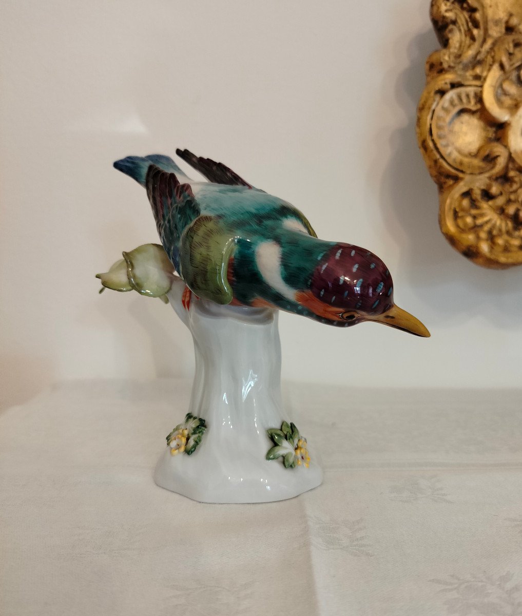 Martin Pescatore Meissen -photo-3