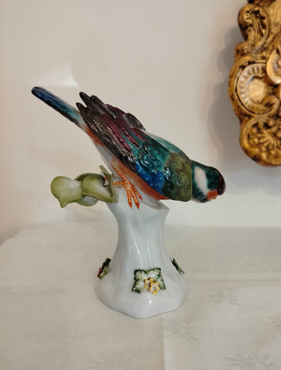 Martin Pescatore Meissen -photo-4