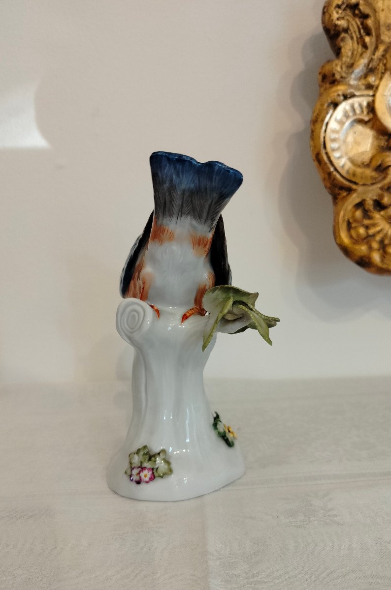 Martin Pescatore Meissen -photo-1