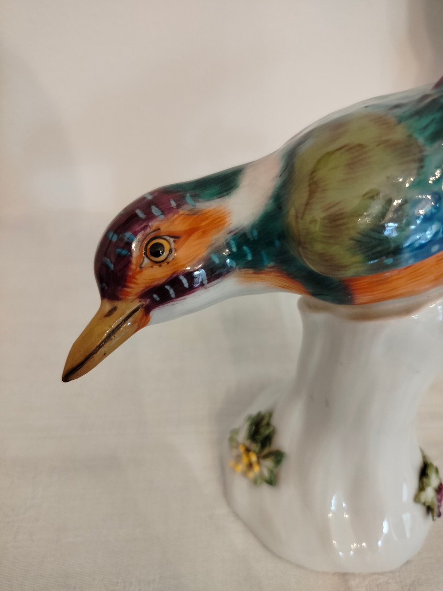 Martin Pescatore Meissen -photo-2