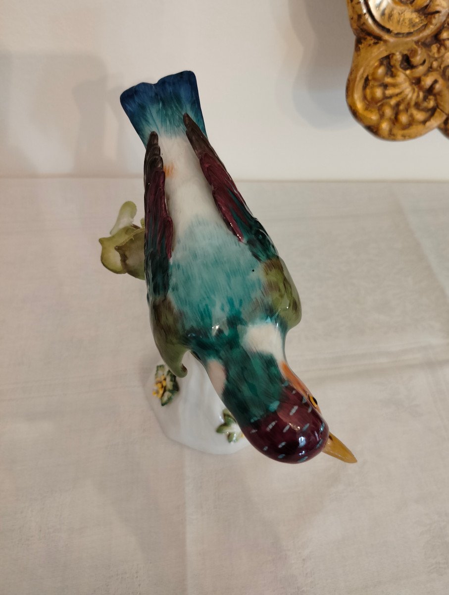 Martin Pescatore Meissen -photo-3