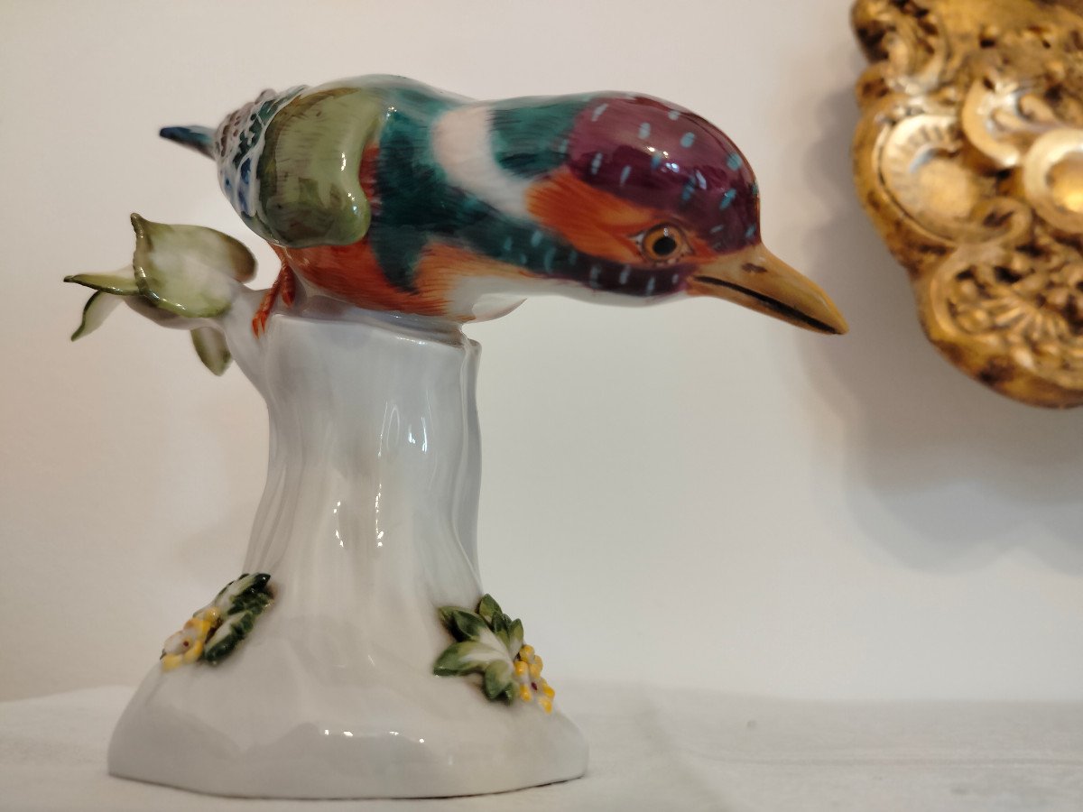 Martin Pescatore Meissen -photo-4