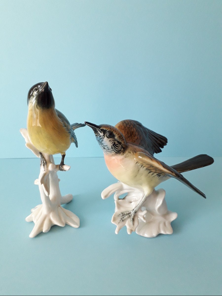 Uccellini in porcellana-photo-3