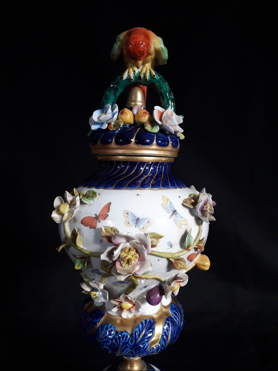 VASO con PAPPAGALLO - Sèvres  XIX s.-photo-4