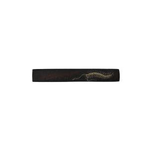 Mukade 百足 Centipede Kozuka