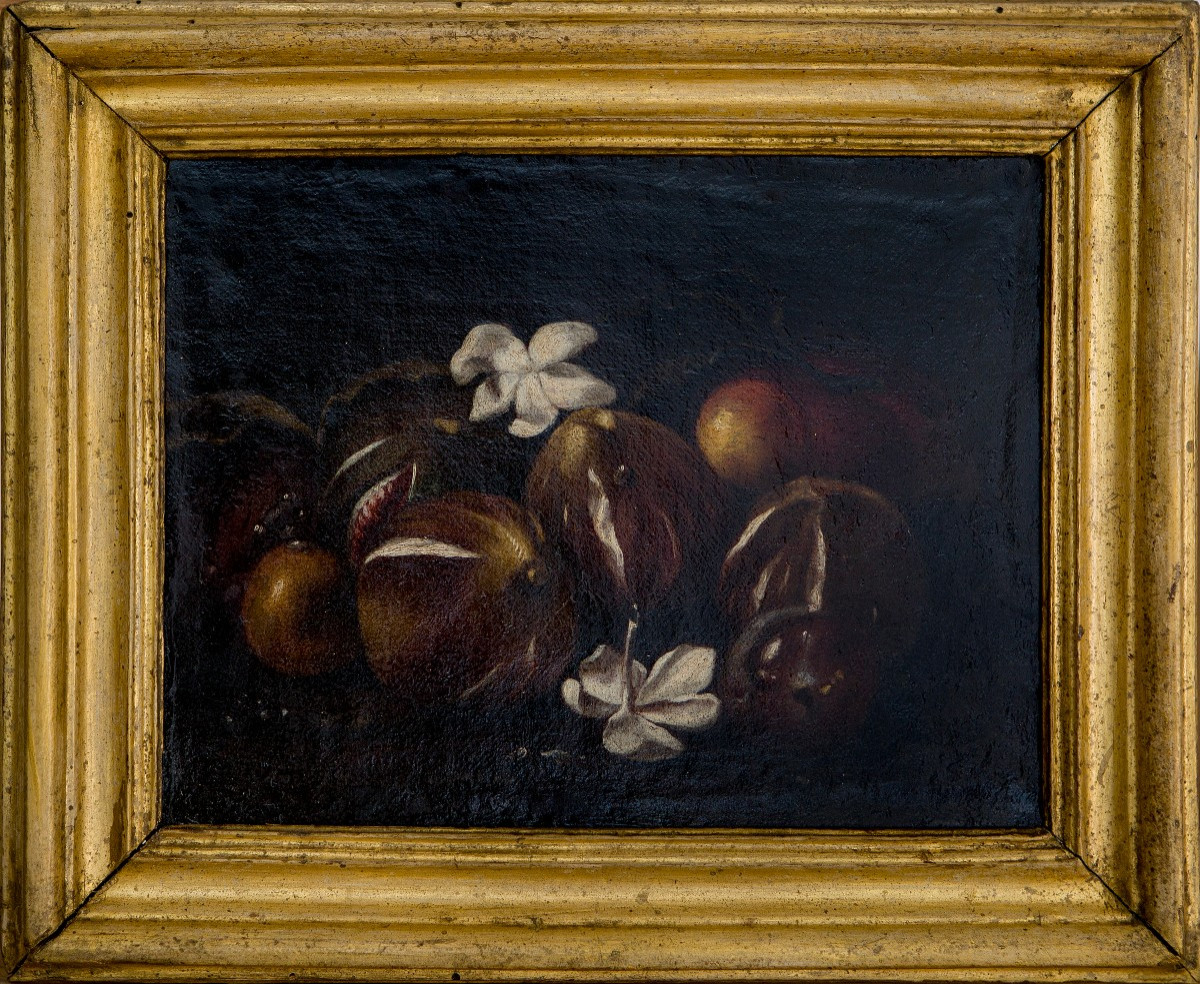 Ambito di Giovanni Paolo Castelli detto lo Spadino, Natura morta ,Olio su tela, XVII secolo