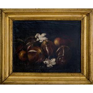 Ambito di Giovanni Paolo Castelli detto lo Spadino, Natura morta ,Olio su tela, XVII secolo