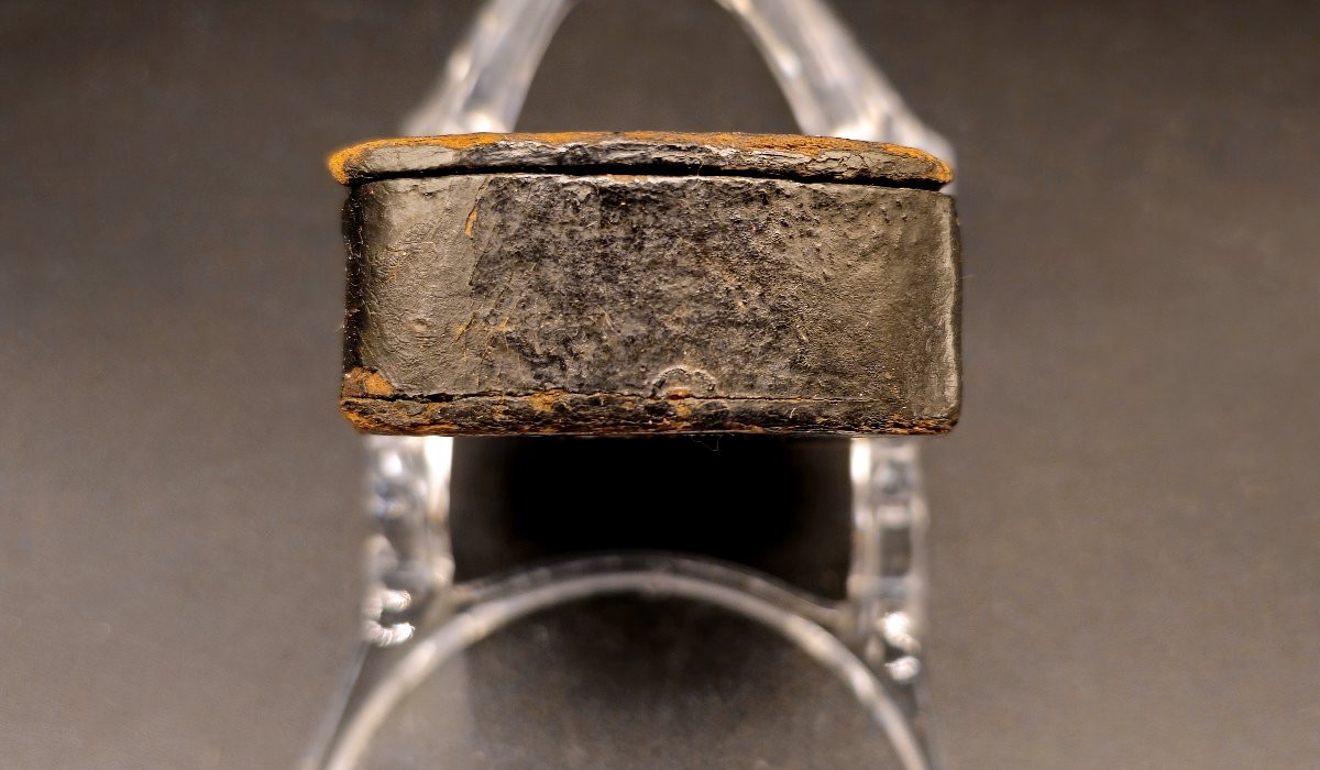 Tabacchiera in papier mâché Leclerc de Buffon, E.Gatteaux-photo-3