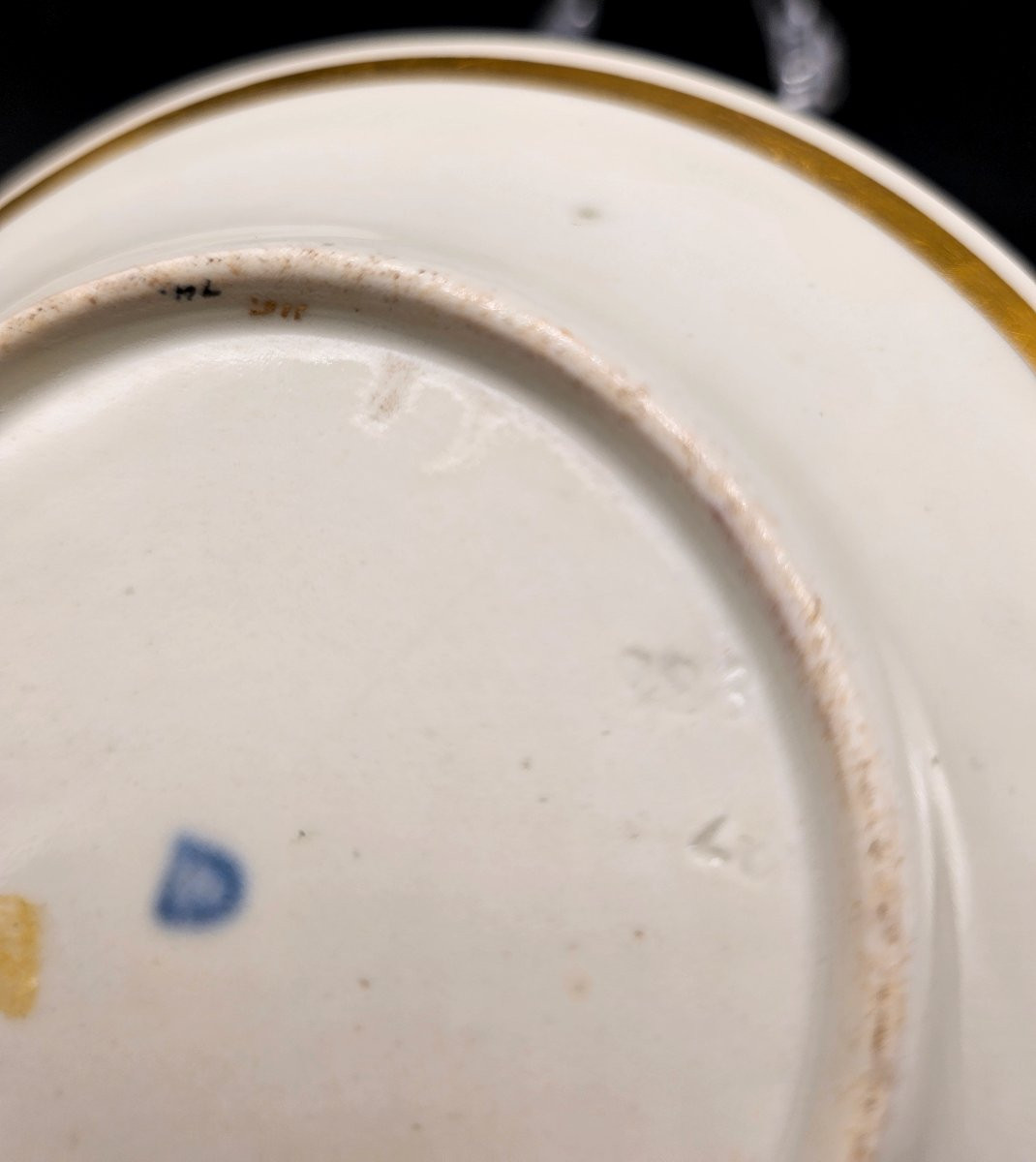 Tazzina con piattino  Veduta del castello di Schoenbrunn, 1823,Manifattura Imperiale di Vienna-photo-8