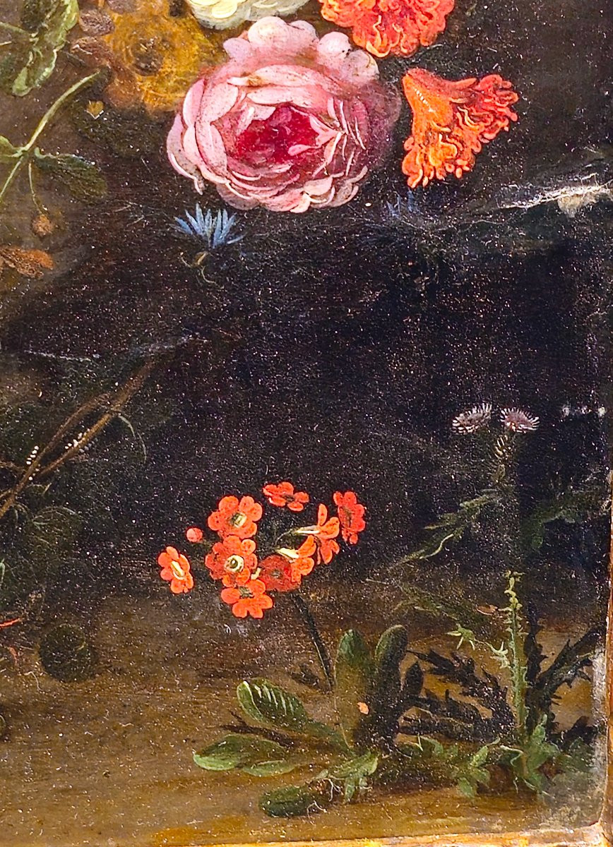 Daniel Seghers – San Giovanni Battista nel deserto entro ghirlanda floreale, olio su rame-photo-5