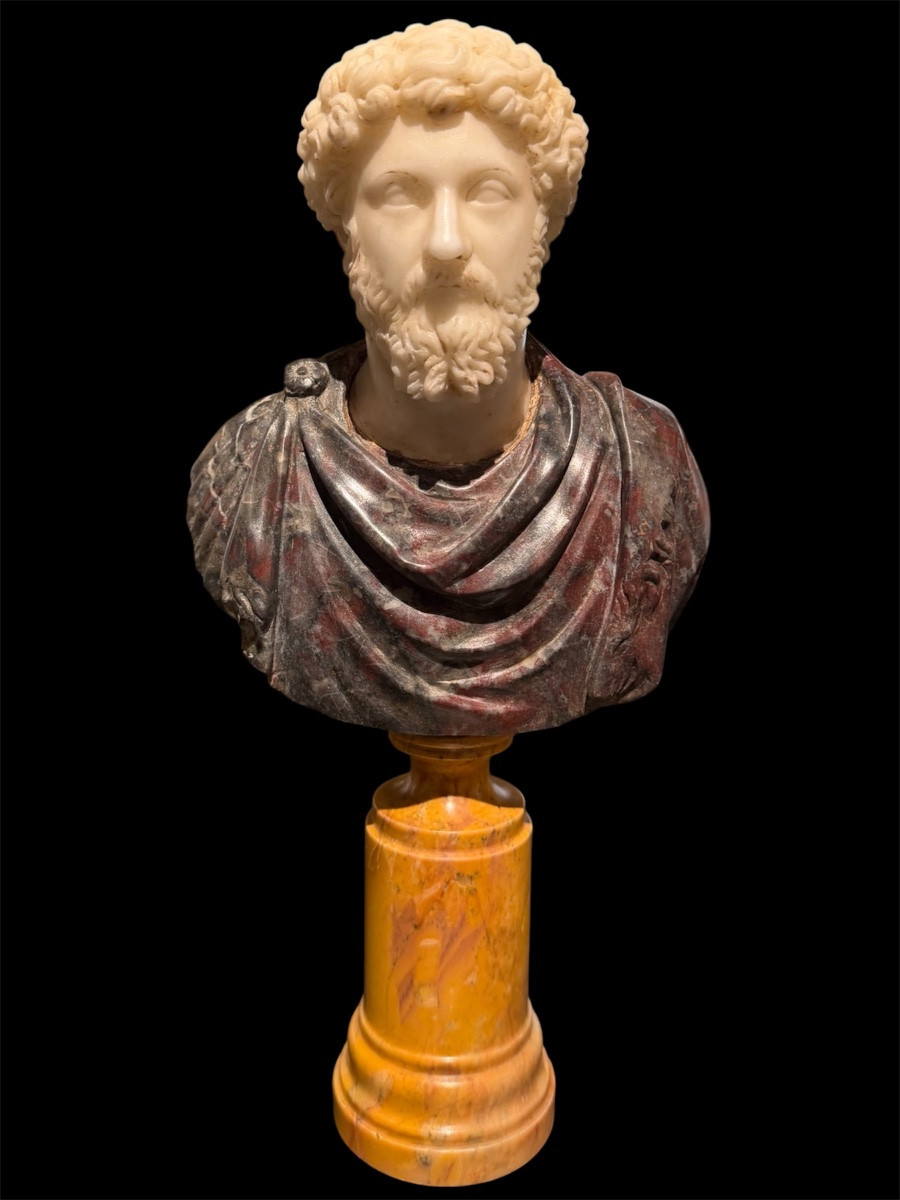 Coppia di Busti in Marmo Statuario - Marco Aurelio e Tito - Epoca Grand Tour, Fine XVII Sec-photo-3