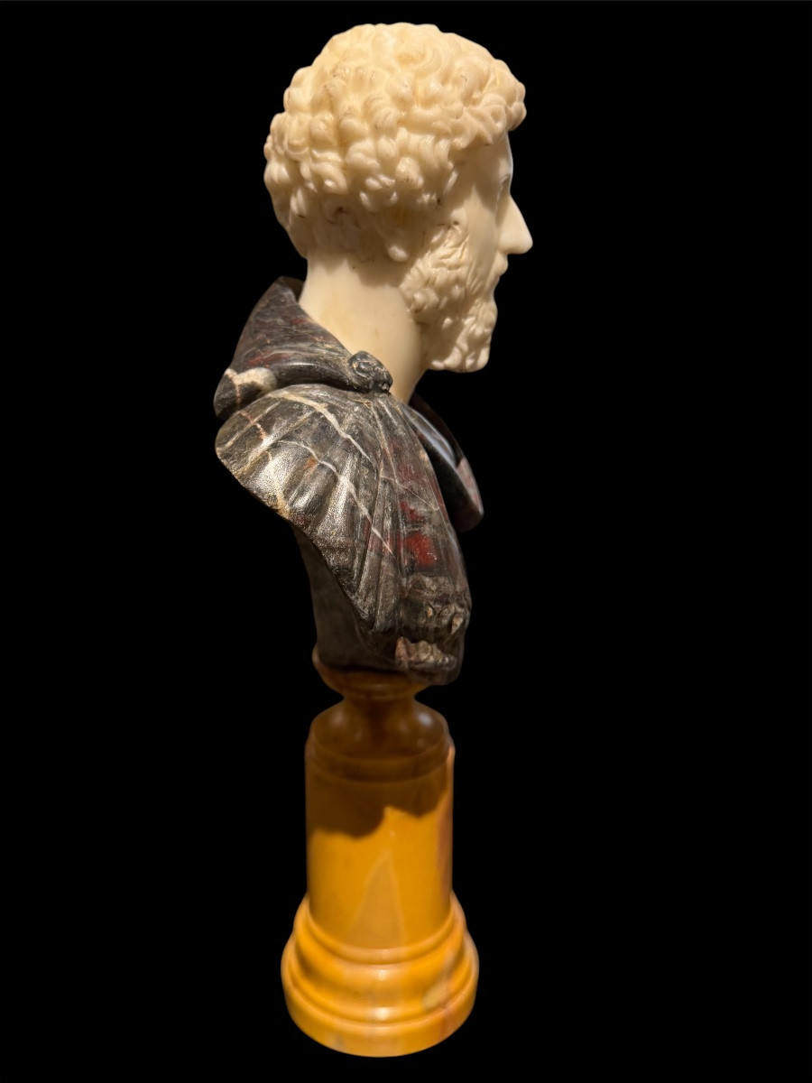 Coppia di Busti in Marmo Statuario - Marco Aurelio e Tito - Epoca Grand Tour, Fine XVII Sec-photo-4