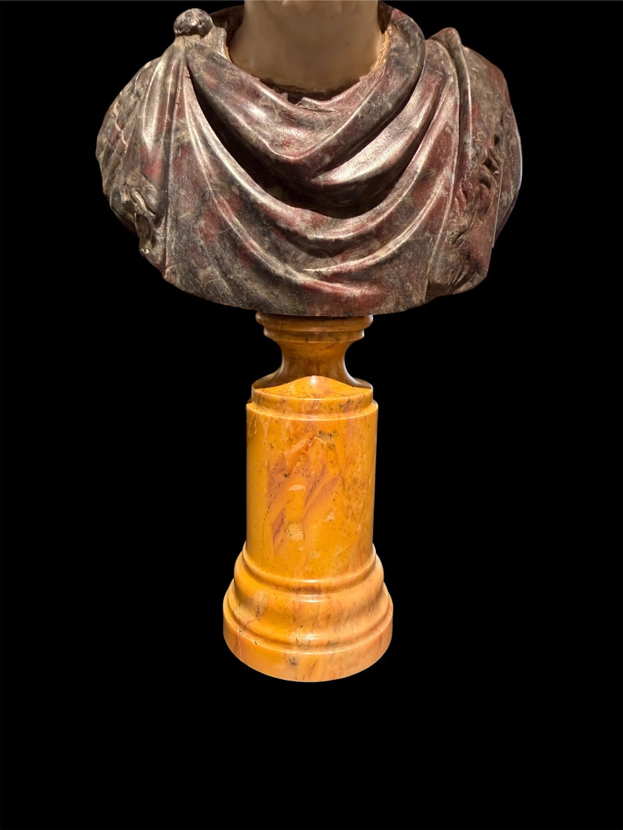 Coppia di Busti in Marmo Statuario - Marco Aurelio e Tito - Epoca Grand Tour, Fine XVII Sec-photo-5